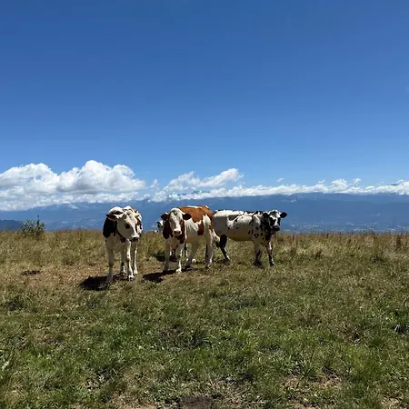 Les Ptits Loups * Autrans-Meaudre-en-Vercors
